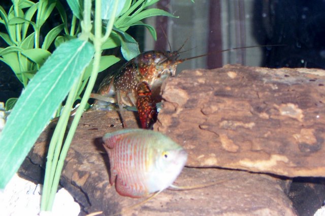 100_2773.JPG 100_2773.JPG