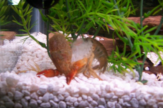 100_2778.JPG 100_2778.JPG