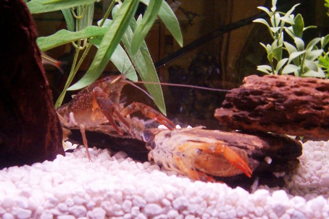 100_2807.JPG 100_2807.JPG