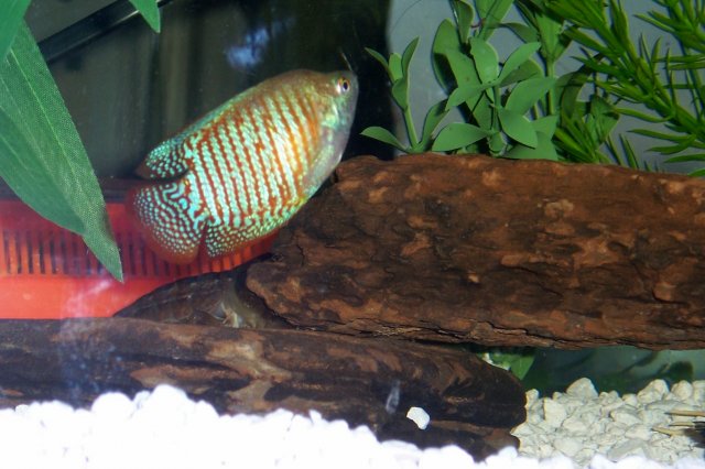 100_2828.JPG 100_2828.JPG