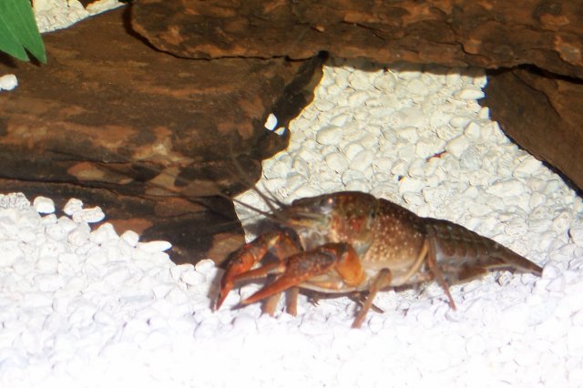 100_2843.JPG 100_2843.JPG