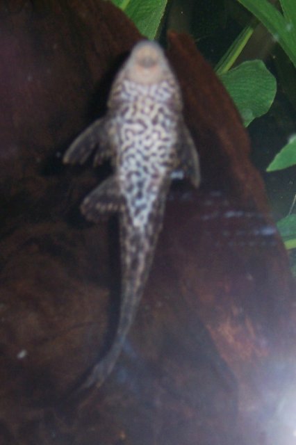 100_2834.JPG 100_2834.JPG