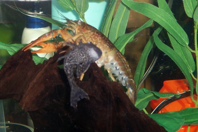 100_2845.JPG 100_2845.JPG