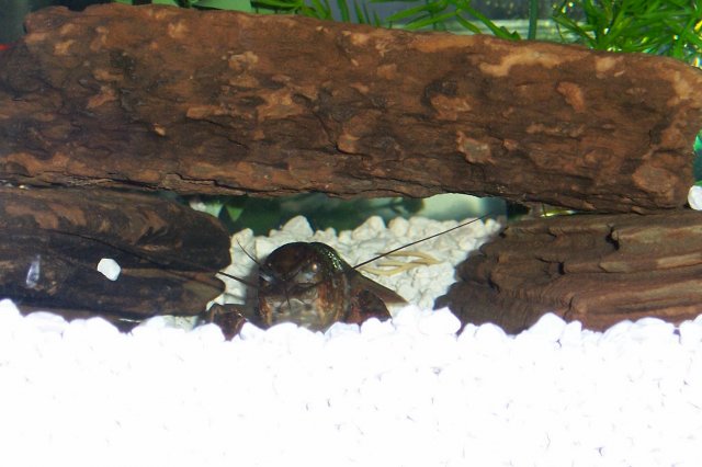 100_2838.JPG 100_2838.JPG