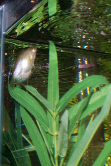 100_2873.JPG 100_2873.JPG