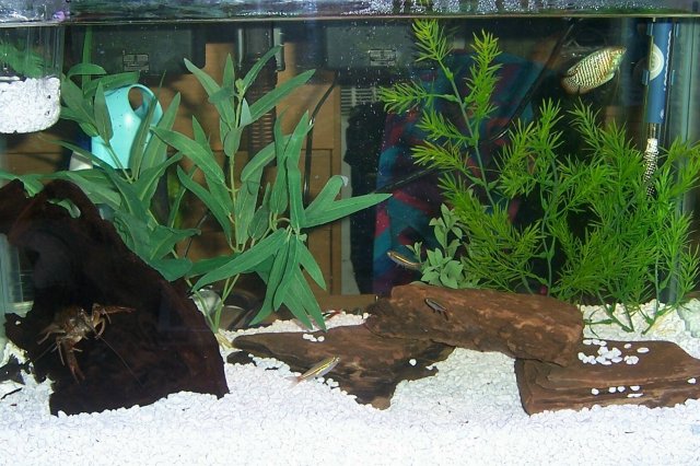 100_2866 2.jpg 100_2866 2.jpg