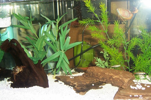 100_2868 2.jpg 100_2868 2.jpg