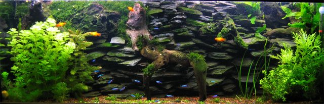 45g_large.jpg