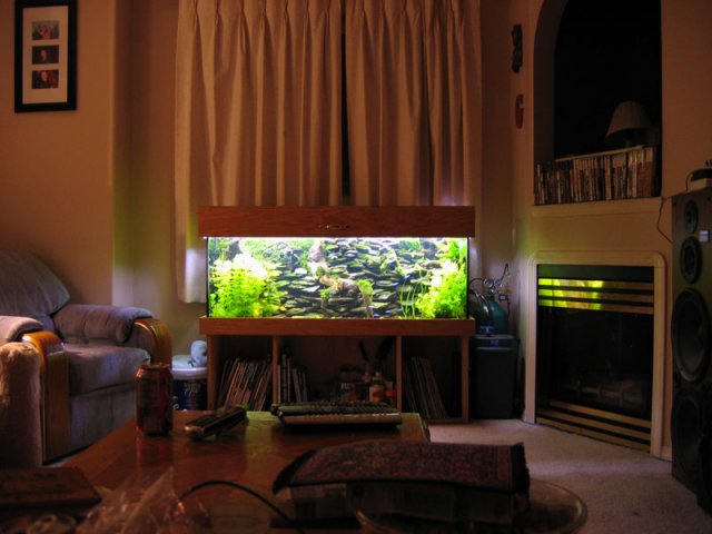 living_room_2.jpg