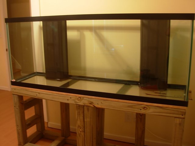 DSCN2272.JPG