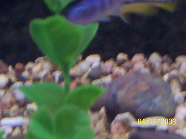 101_0816.JPG