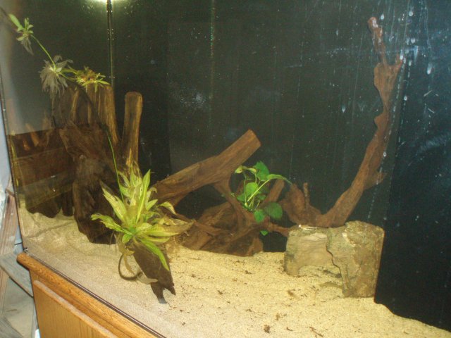 Update 071109 Left Side.JPG