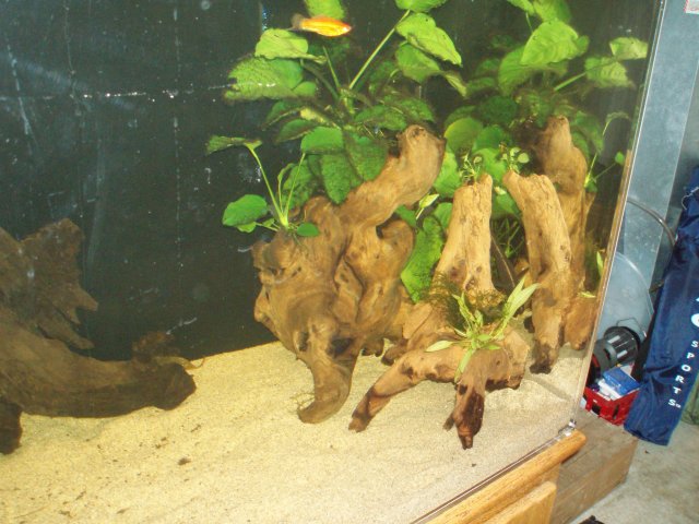 Update 071109 Right Side.JPG