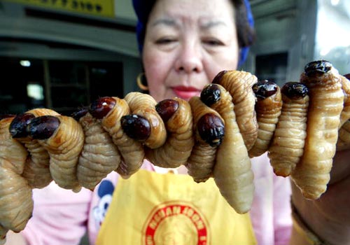 witchetty-grubs.jpg witchetty-grubs.jpg