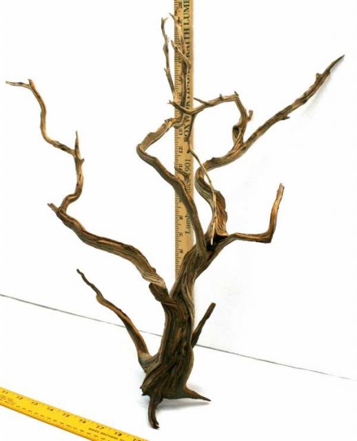 MED STUMP PKG 30 OVERALL 20001.JPG