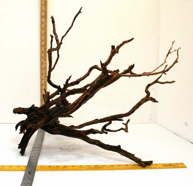 LRG STUMP PKG 40 ON SIDE0001.JPG