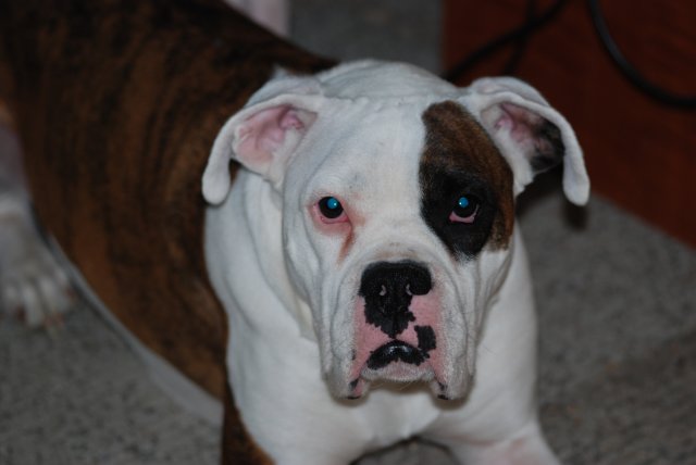 DSC_0013.JPG