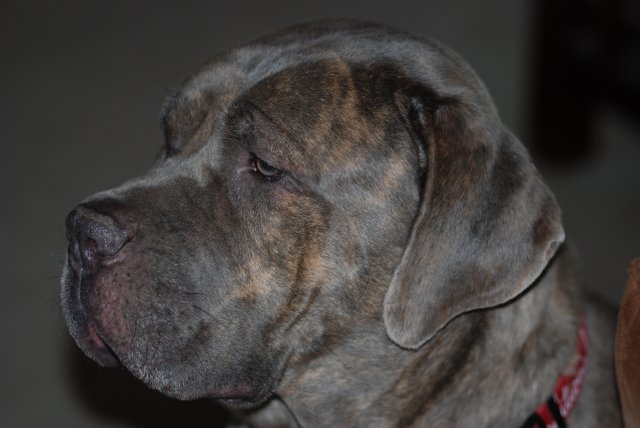 DSC_0002.JPG
