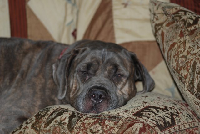 DSC_0056.JPG