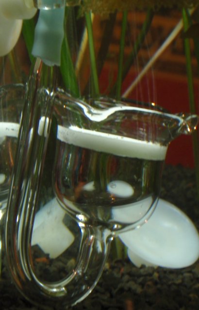 diffuser.jpg