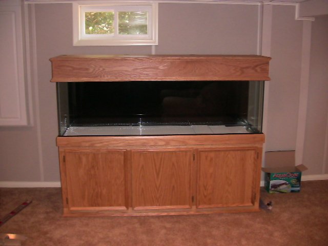 IMG_0438.JPG IMG_0438.JPG