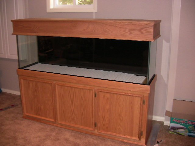 IMG_0439.JPG IMG_0439.JPG