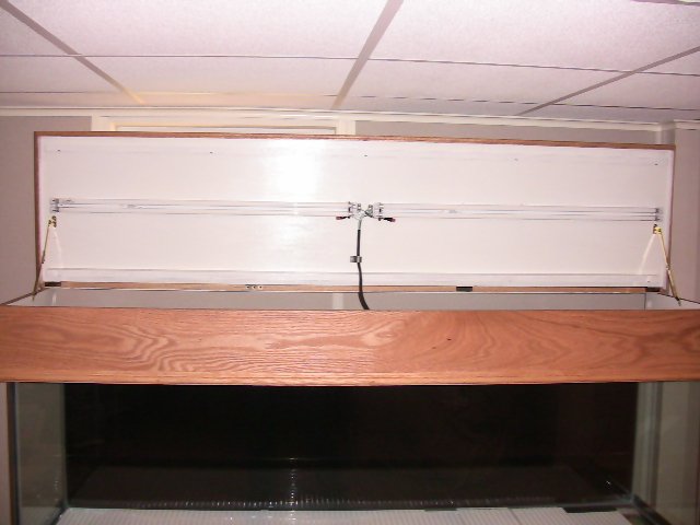 IMG_0440.JPG IMG_0440.JPG