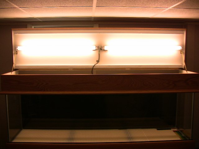 IMG_0442.JPG IMG_0442.JPG