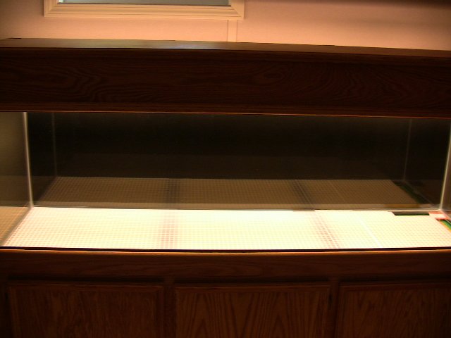 IMG_0443.JPG IMG_0443.JPG