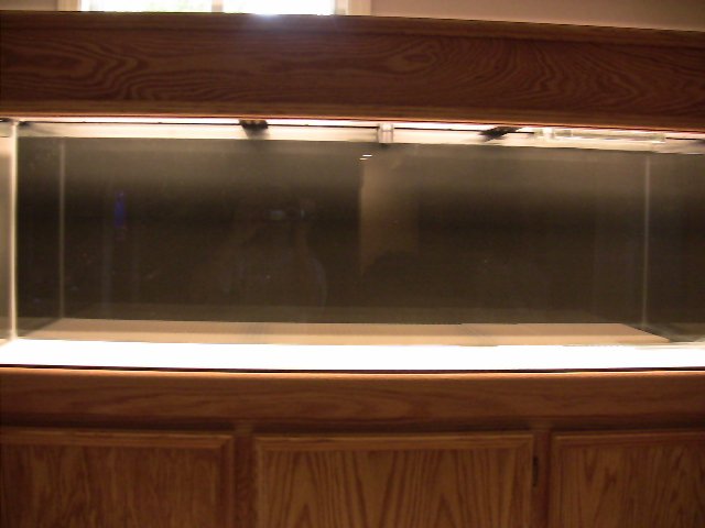 IMG_0444.JPG IMG_0444.JPG