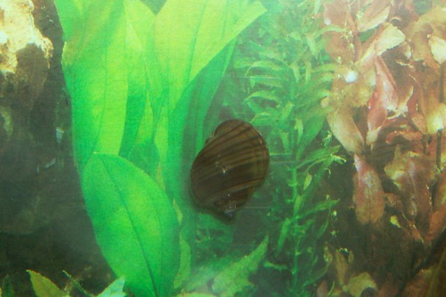 000_3192.jpg