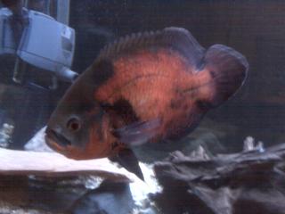 IMG00253.jpg