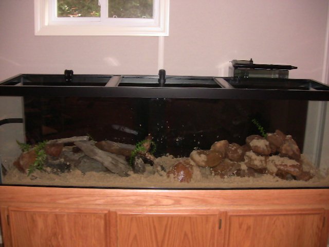 IMG_0448.JPG IMG_0448.JPG