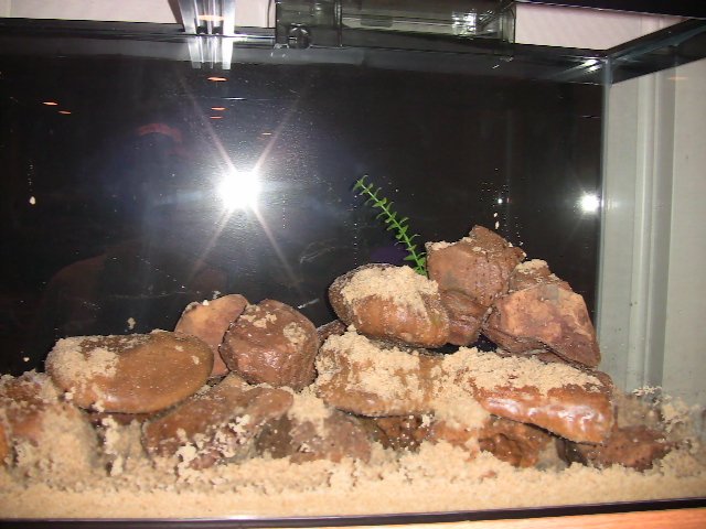 IMG_0449.JPG IMG_0449.JPG