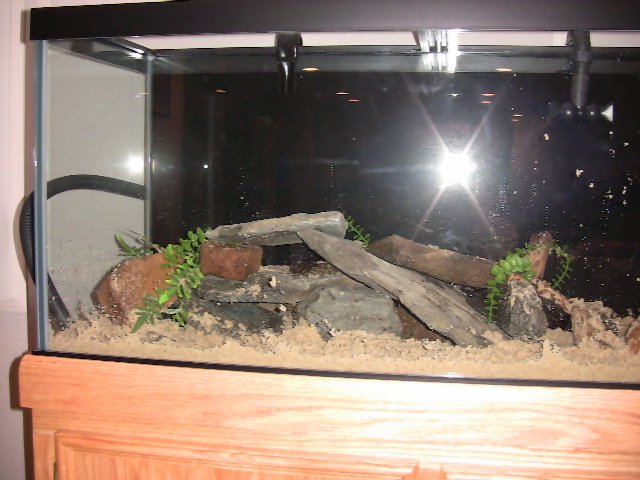 IMG_0450.JPG IMG_0450.JPG