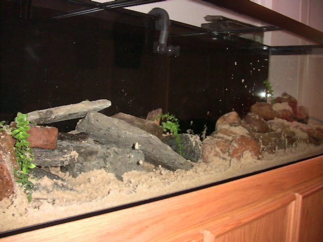 IMG_0451.JPG IMG_0451.JPG