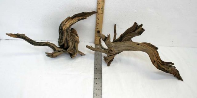 NANO STUMP PKG 47 OVERALL0001.JPG
