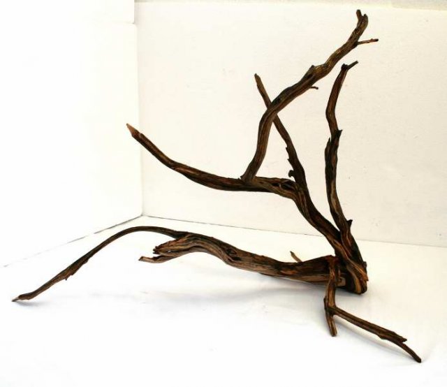 LRG STUMP PKG 47 SIDE0001.JPG