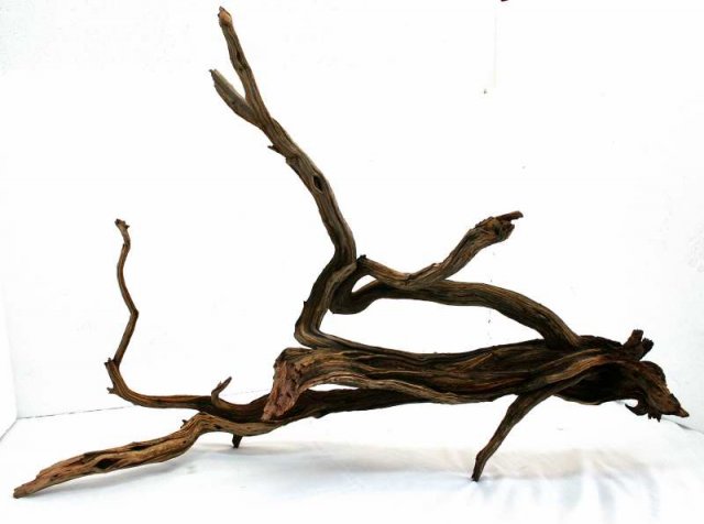 XLG STUMP PKG 26 OVERALL0001.JPG