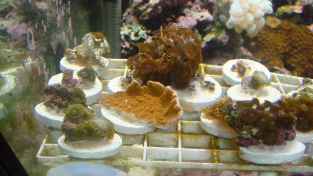 DSC02109.JPG