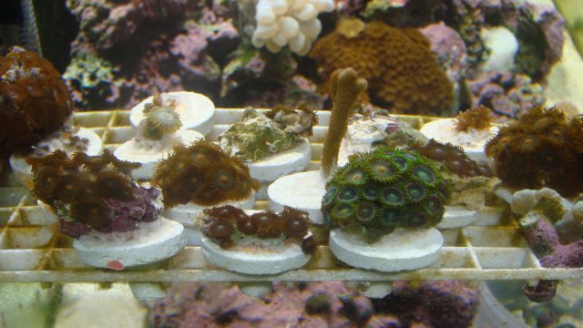 DSC02110.JPG