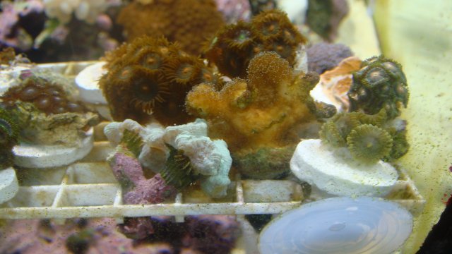 DSC02112.JPG