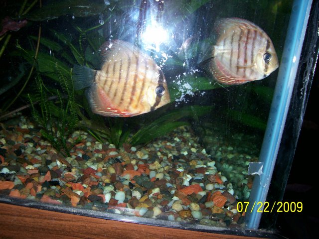 000_3211.jpg