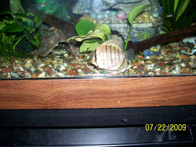 000_3212.jpg