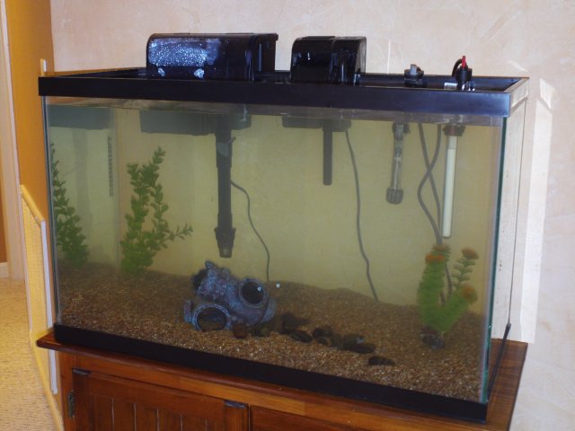 29g_after-transfer.JPG