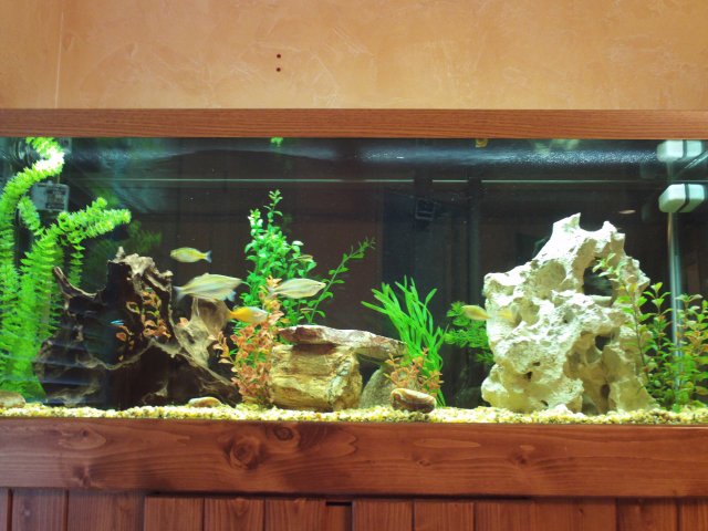 75g_July2009.JPG