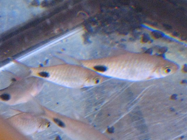 IMG_0167.JPG