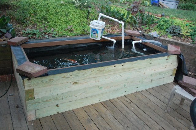New_Pond_Side.JPG
