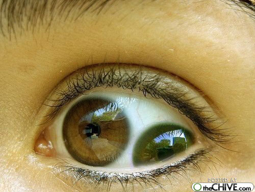 a-these-people-exist-part3-82.jpg a-these-people-exist-part3-82.jpg