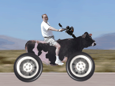 cowasaki.gif